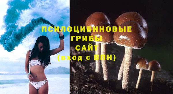 марки lsd Козельск