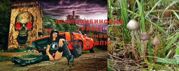 МДПВ Кодинск